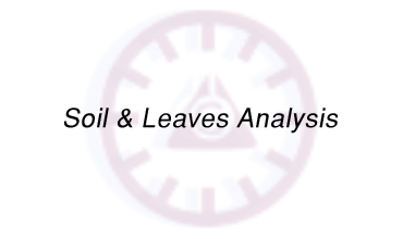 Soil & Leaves Analysis
